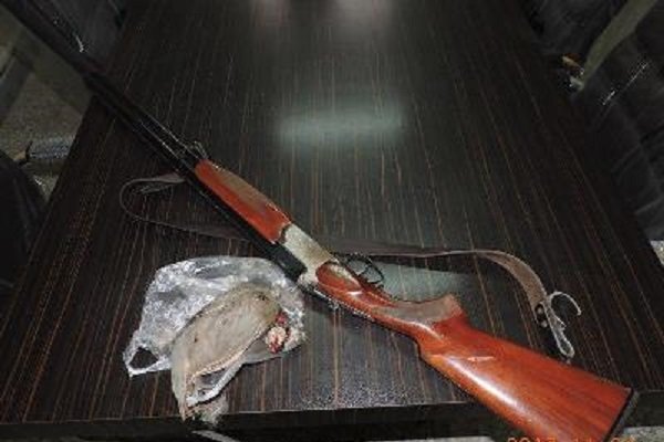 ۱۸ متخلف شکار وصید در استان اصفهان دستگیر شدند