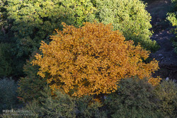 VIDEO: Superb landscapes of Arasbaran biosphere in NW Iran