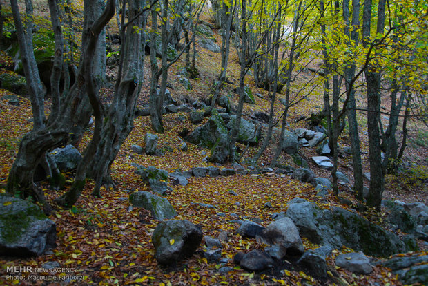 Beauties of autumn in Arasbaran