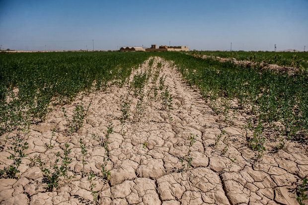 تأمین آب کشاورزی در مناطق خشک با تکنولوژی یک استارتاپ ایرانی