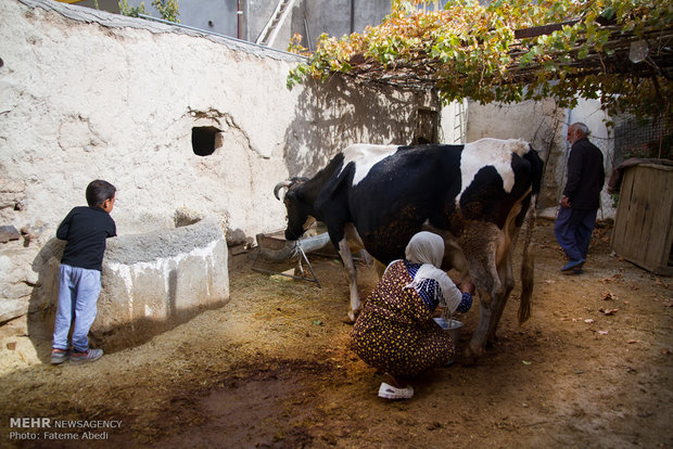 زنان کارآفرین