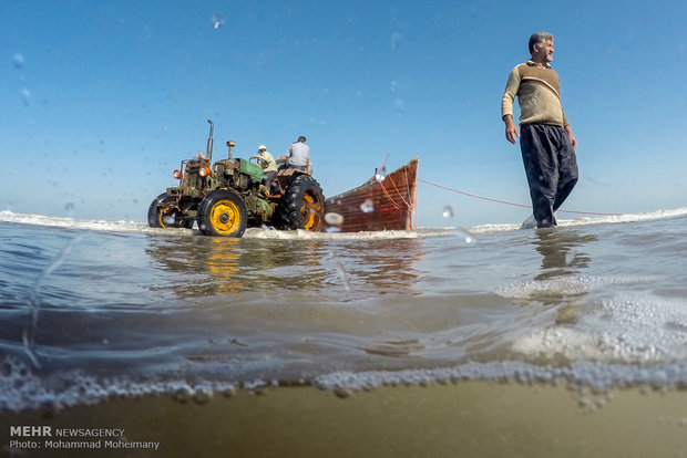 Fishing season underway in Caspian Sea