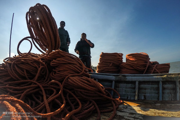 Fishing season underway in Caspian Sea