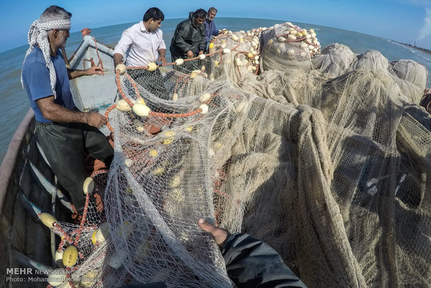 Fishing season underway in Caspian Sea