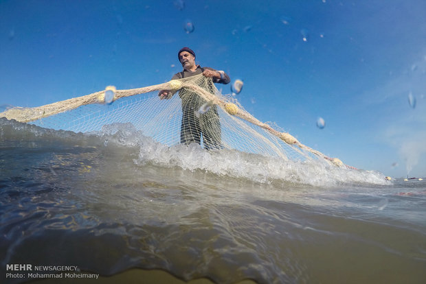 Fishing season underway in Caspian Sea
