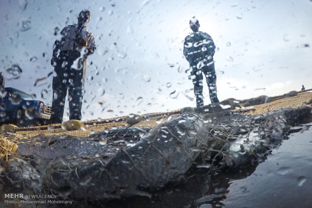 Fishing season underway in Caspian Sea