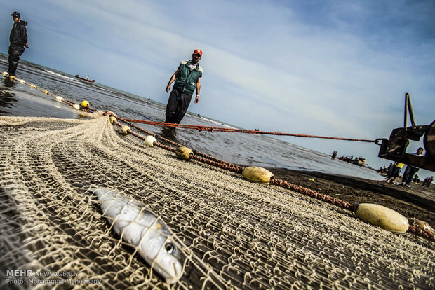 Fishing season underway in Caspian Sea