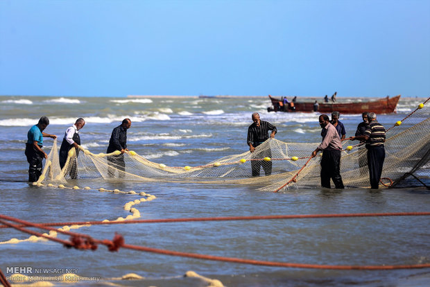 Fishing season underway in Caspian Sea