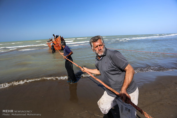 Fishing season underway in Caspian Sea