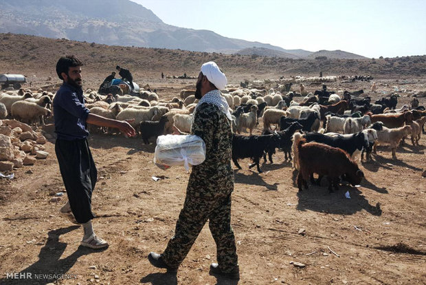 بسیج در کنار مردم اهل سنت روستاهای سرپل ذهاب