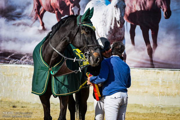 Show Jumping Premier League underway in Tehran