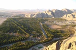 شیوع آفت در جنگل قائم کرمان؛ حال بام کرمان خوب نیست