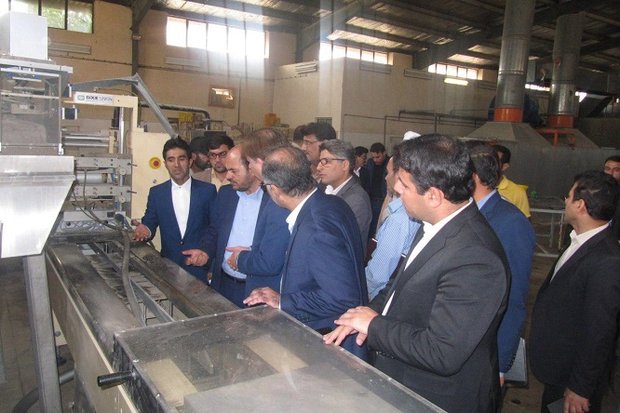 سرمایه‌گذاری در بخش کشاورزی استان بوشهر حمایت می‌شود