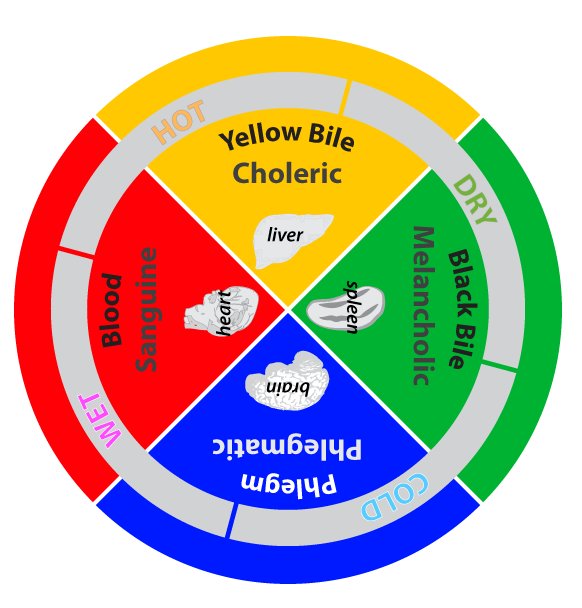 What Is The Humoral Theory Of Medicine