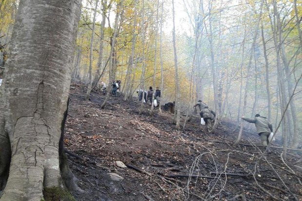 وقوع آتش سوزی در جنگل‌های عباس آباد