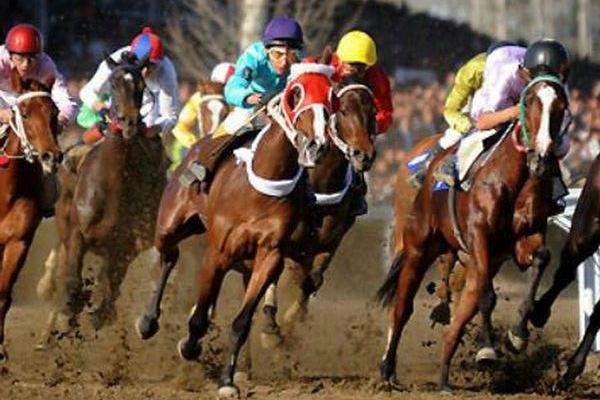 ۶۶ راس اسب در هفته هفتم کورس پاییزه گنبد رقابت می‌کنند