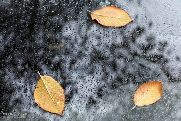 1st autumn snow covers Tabriz