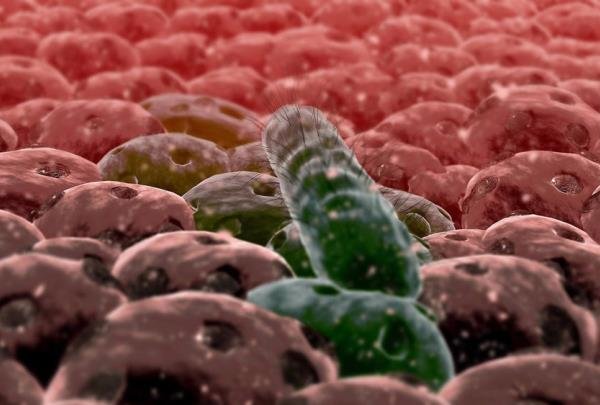 باکتری مهندسی شده رویدادهای بدن را ثبت می کند