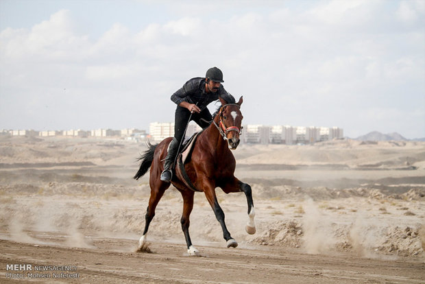 بطولة سباق الخيل بمحافظة خراسان شرقي ايران