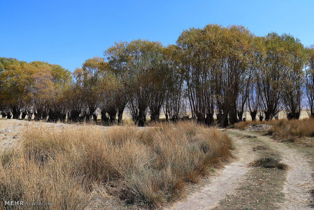 طبیعت پاییزی روستای دشت ارژن