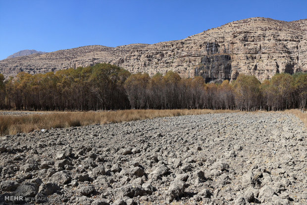 دشت بطنی آباد روستای یزدل از توابع شهرستان آران و بیدگل