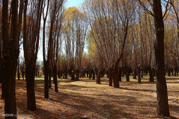 طبیعت پاییزی روستای دشت ارژن