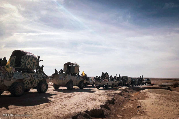 حرکت عناصر داعش به سوی صحرای سینا