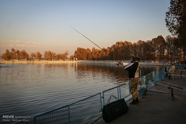 مسابقه ماهیگیری ورزشی در تهران