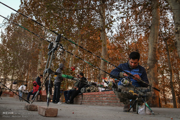 مسابقه ماهیگیری ورزشی در تهران
