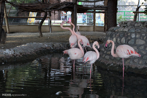 Eram Zoo home to countless animal species