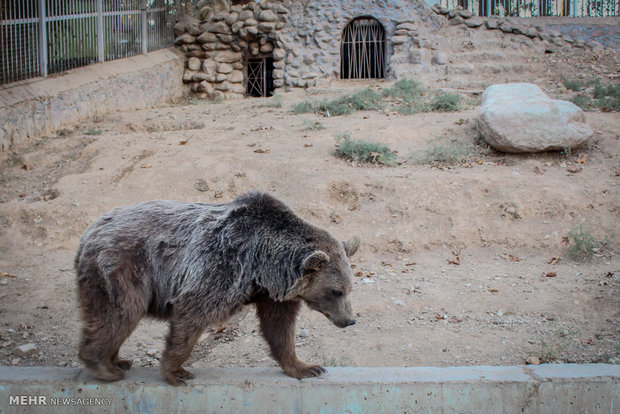 Eram Zoo home to countless animal species