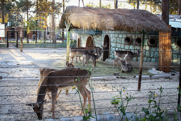 Eram Zoo home to countless animal species