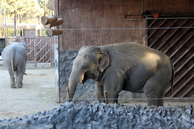 Eram Zoo home to countless animal species