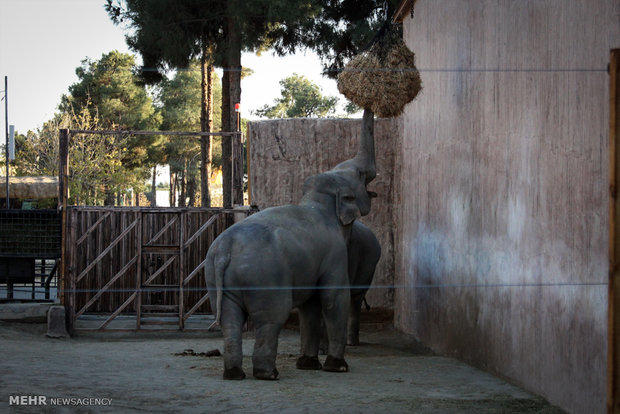 Eram Zoo home to countless animal species