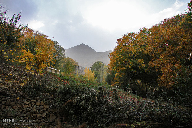 طبیعت پاییزی شهرستان سنندج‎