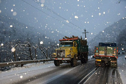 بارش برف و باران در استان قزوین آغاز شد