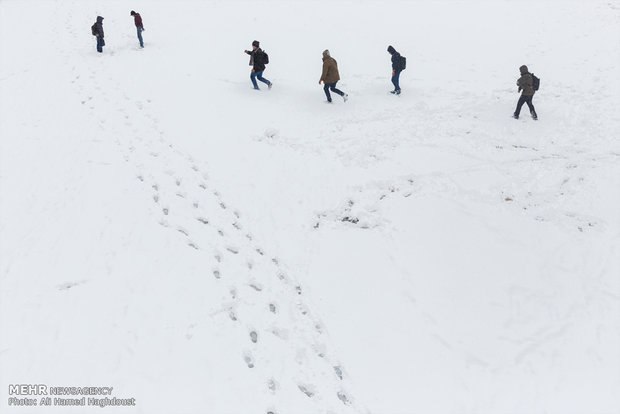 تساقط الثلوج في مدينة تبريز 