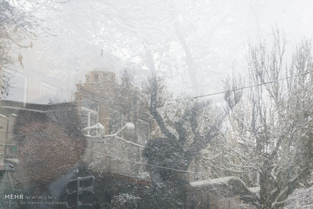 Snow whitens streets of Tabriz