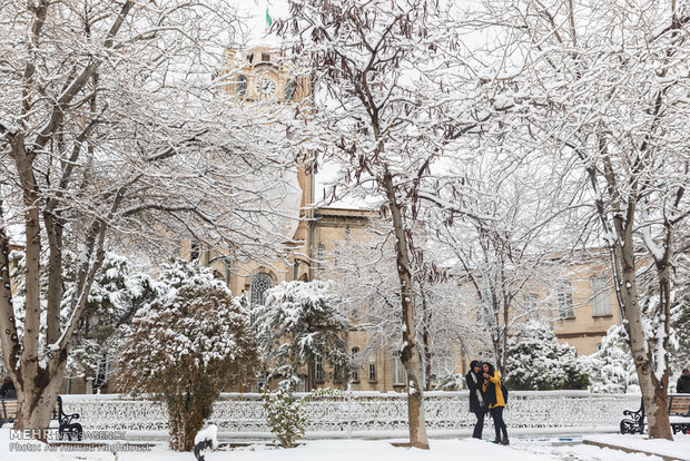 Snow whitens streets of Tabriz