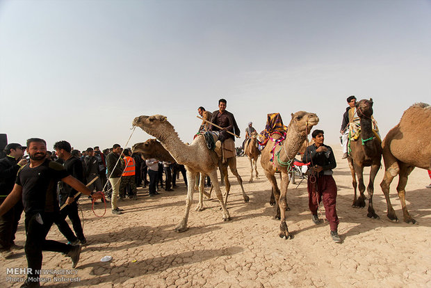 مهرجان الالعاب المحلية وركوب الجمال في خراسان الجنوبية 