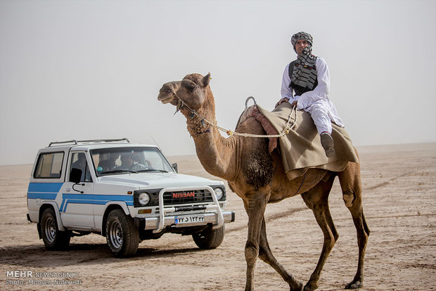 مهرجان الالعاب المحلية وركوب الجمال في خراسان الجنوبية 