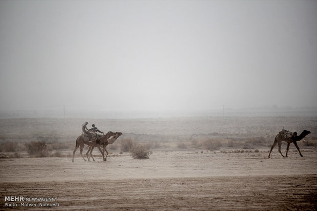 مهرجان الالعاب المحلية وركوب الجمال في خراسان الجنوبية 