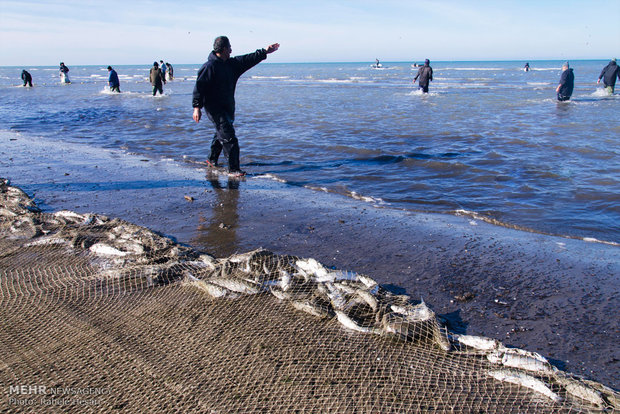 Caspian fishing season starts