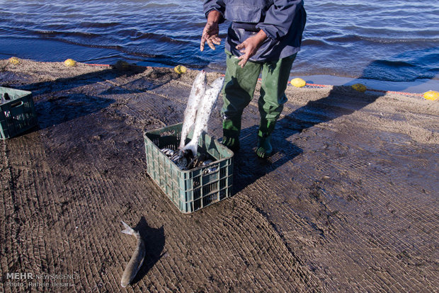 Caspian fishing season starts