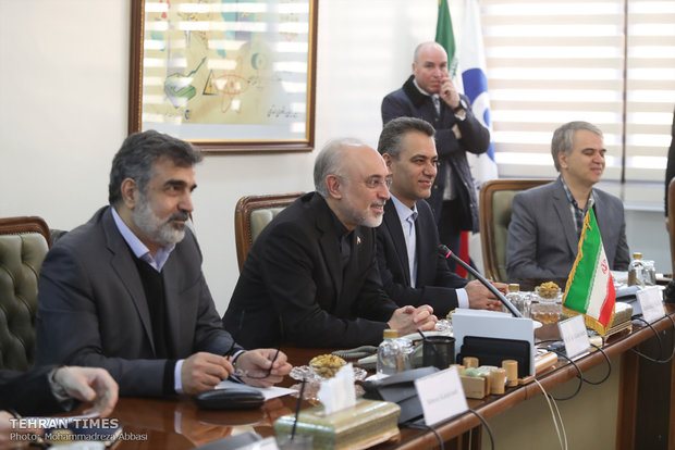 Salehi meets British foreign secretary in Tehran 