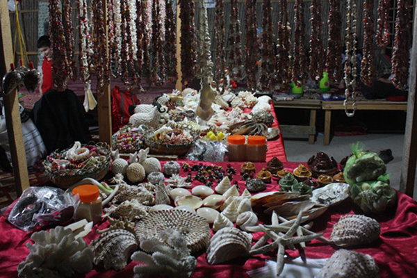 صدف‌های مرده، منبع درآمد زنان هنگام/ عدم نظارت بر اکوسیستم دریا