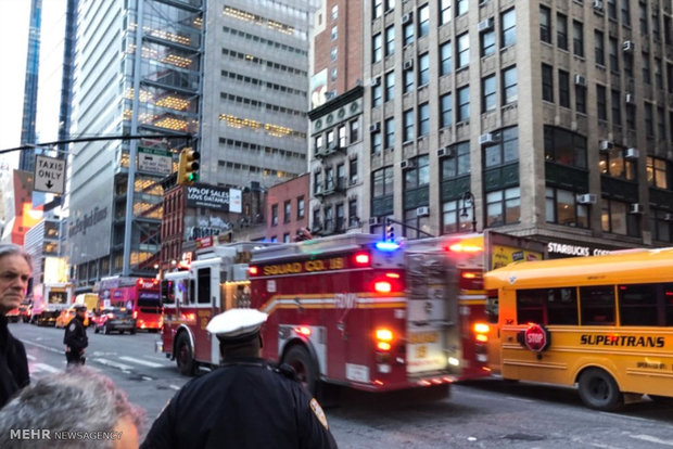 New York'ta Times Meydanı'na arı baskını