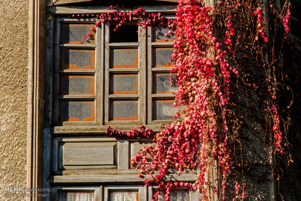 Golestan dabbed in Autumn colors