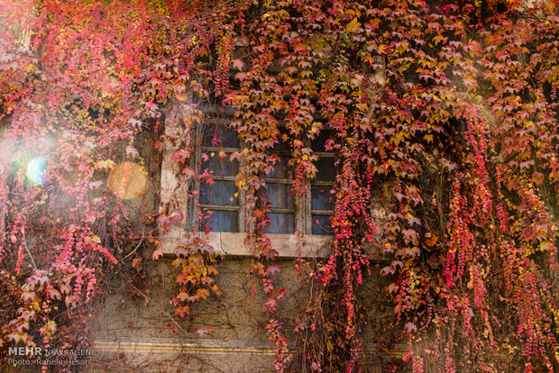 Golestan dabbed in Autumn colors