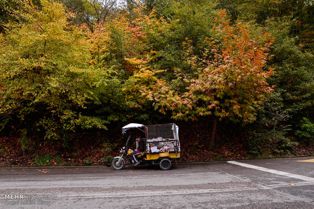 Golestan dabbed in Autumn colors